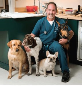 Best Veterinarian In South Carolina