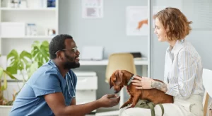 Best Veterinarian In Wisconsin