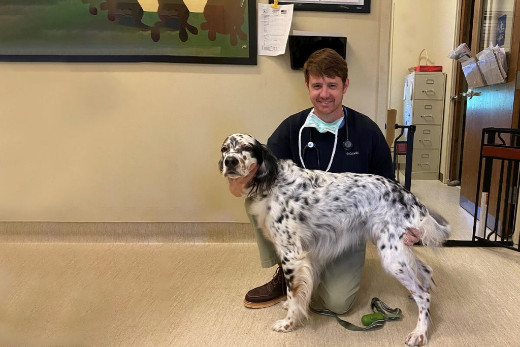 Best Veterinarian In Utah