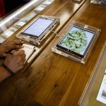 Best Dispensaries In Florida