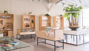Best top Dispensaries In Connecticut