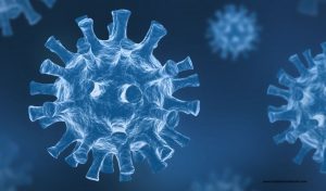 <strong><em>Insights On Covid-19 Vaccine Facets</em></strong>