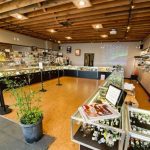 Best Dispensaries In Indiana