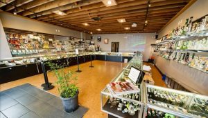Best Dispensaries In Indiana