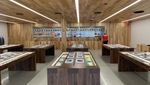 Best Dispensaries In Texas
