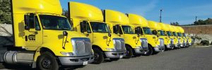 Best Transportation Services In Nevada