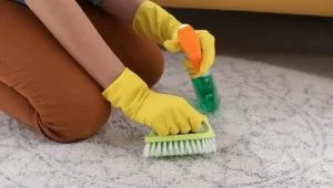 London Carpet Cleaning: The Best Services For Professional