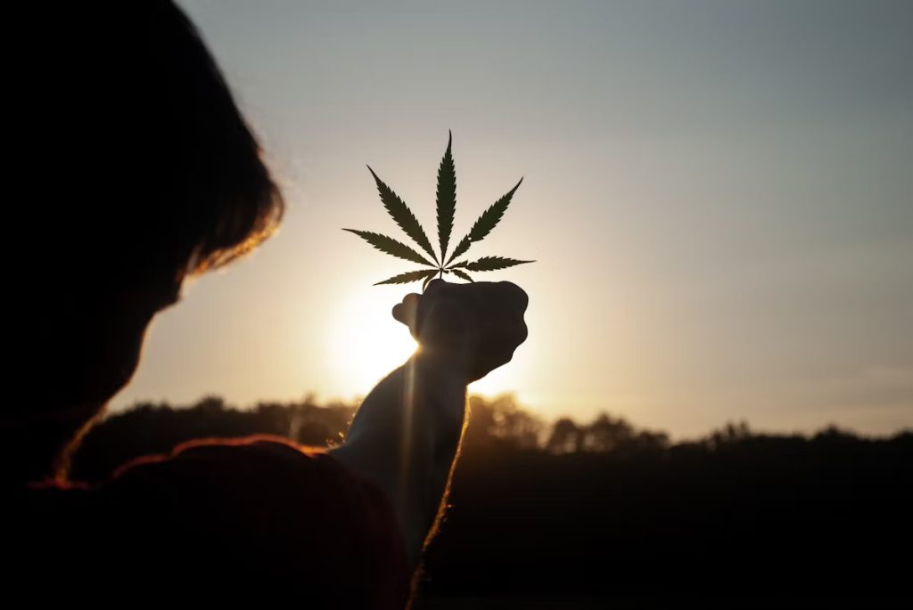 Can Medical Marijuana Help You With Your Anxiety Disorder? 