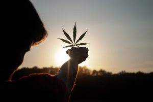 Can Medical Marijuana Help You With Your Anxiety Disorder? 