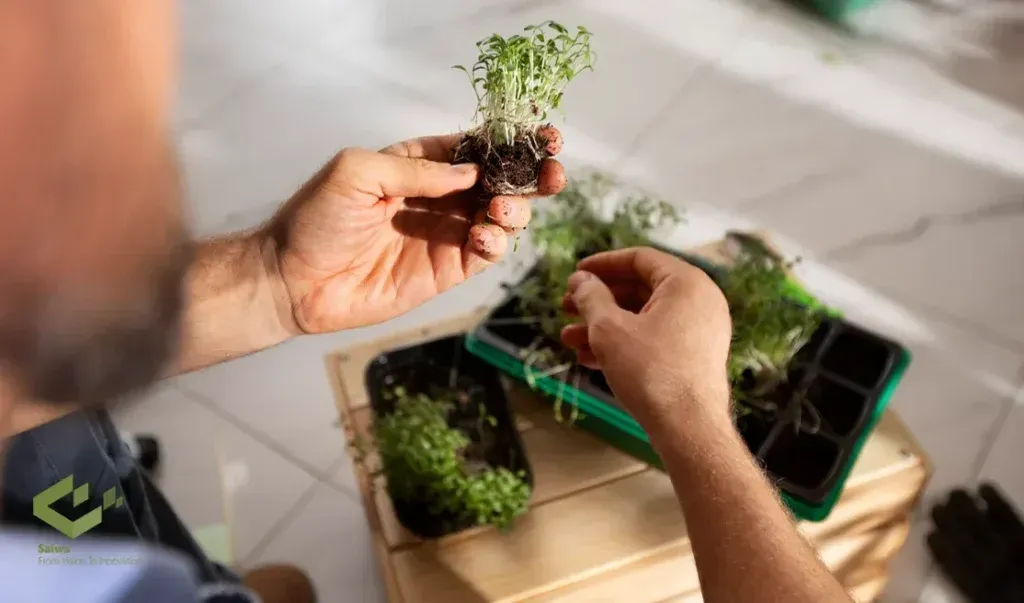 AI-Driven Phenotyping in Seed Breeding—Accelerating Genetic Gain