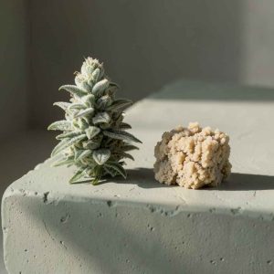 Skull Hash: A Bold and Traditional Cannabis Concentrate in Canada